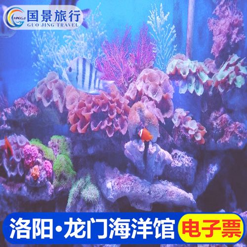 龙门海洋馆现在里面多少度?洛阳龙门今天气温多少度-图3 龙门海洋馆现在里面多少度?洛阳龙门今天气温多少度-图3