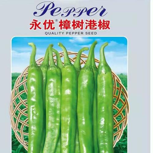 樟树港椒辣度是多少?江西樟树气温多少-图2 樟树港椒辣度是多少?江西樟树气温多少-图2