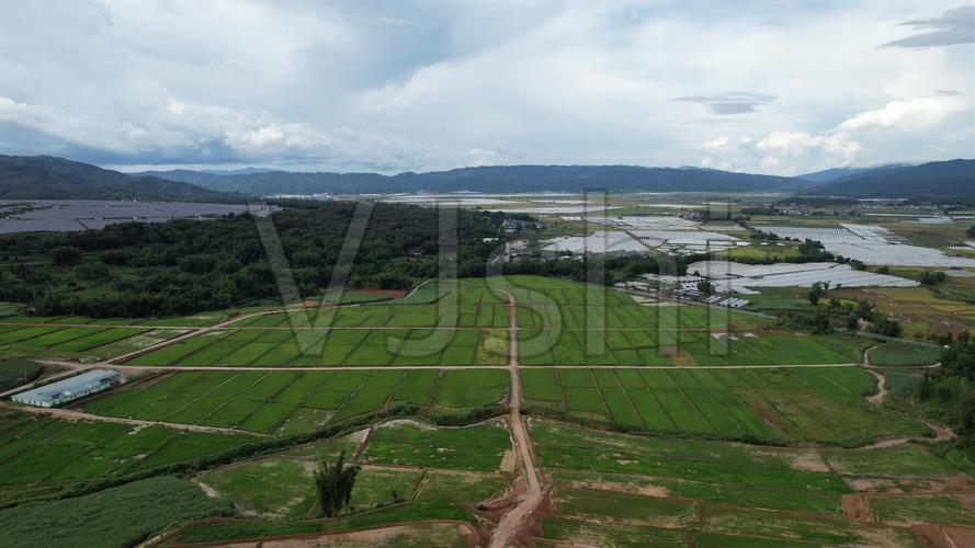 西双版纳勐腊县适合种植什么农作物?勐腊海拔高度是多少米-图2 西双版纳勐腊县适合种植什么农作物?勐腊海拔高度是多少米-图2