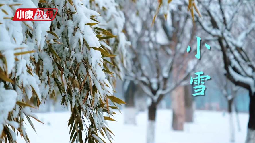 长春今天下小雪了吗?19年今天离小雪还有多少天-图3 长春今天下小雪了吗?19年今天离小雪还有多少天-图3
