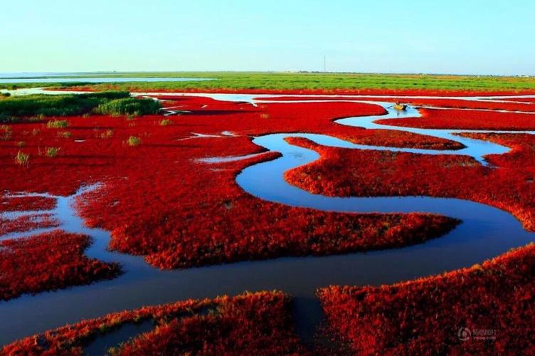 中国七大湿地排行?盘锦市纬度多少-图3 中国七大湿地排行?盘锦市纬度多少-图3