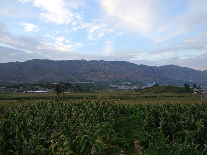 大理,宾川,海拔?云南省宾川县海拔多少米-图1 大理,宾川,海拔?云南省宾川县海拔多少米-图1