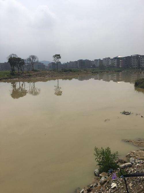 福州一年四季的气候是什么样的?闽清发大水死了多少人-图1 福州一年四季的气候是什么样的?闽清发大水死了多少人-图1