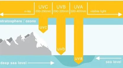 紫外线强度全国排名?2020年2月空气湿度多少-图2 紫外线强度全国排名?2020年2月空气湿度多少-图2