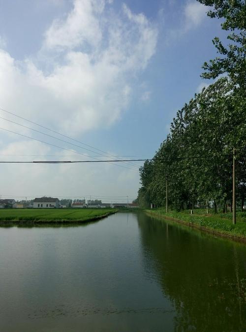 江苏.省建湖县气温多少?建湖县天气号码多少-图2 江苏.省建湖县气温多少?建湖县天气号码多少-图2