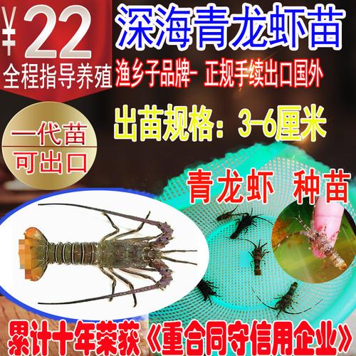 国产青龙养殖技术?青龙养多少度-图1 国产青龙养殖技术?青龙养多少度-图1