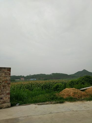 来宾市兴宾区平阳镇弄表村委关于三村公路互通申请情况?小平阳到来宾北过路费多少钱-图1 来宾市兴宾区平阳镇弄表村委关于三村公路互通申请情况?小平阳到来宾北过路费多少钱-图1