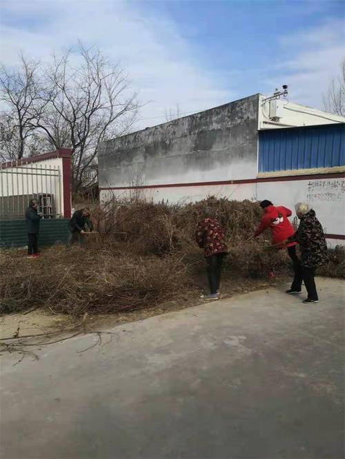 邯郸市邯山区有几个街道办事处?镇平马庄乡常住人口有多少-图3 邯郸市邯山区有几个街道办事处?镇平马庄乡常住人口有多少-图3