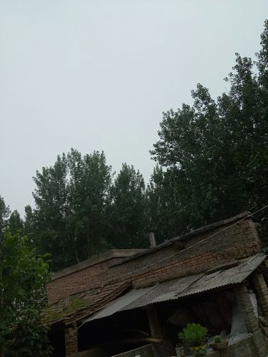 商丘在河南的哪里?睢县的平均气温是多少-图2 商丘在河南的哪里?睢县的平均气温是多少-图2