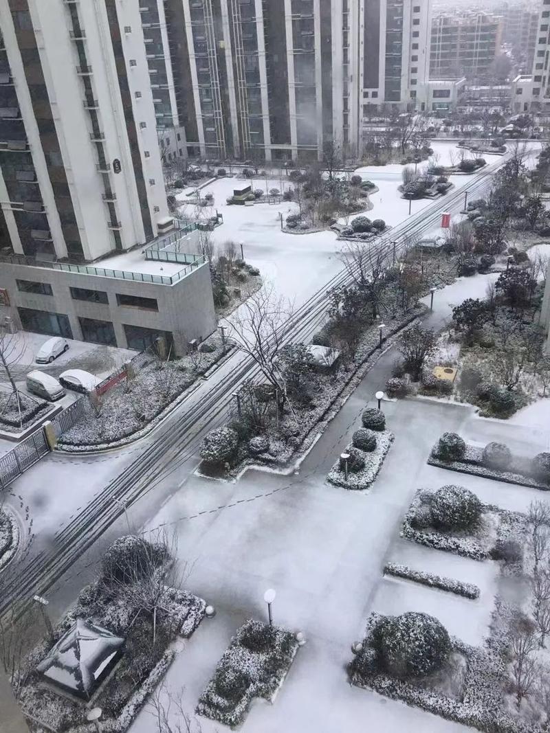 哪些地方在下雪?临沂2016年11月最冷是多少度-图2 哪些地方在下雪?临沂2016年11月最冷是多少度-图2