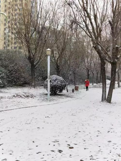 哪些地方在下雪?临沂2016年11月最冷是多少度-图3 哪些地方在下雪?临沂2016年11月最冷是多少度-图3