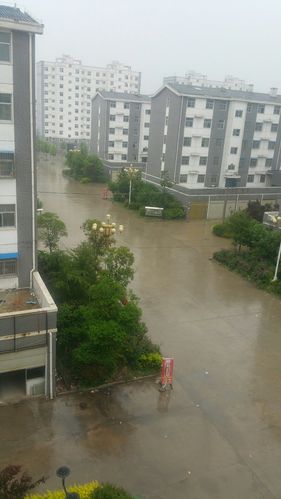 河南省宁陵县属于哪个市?睢县极端最高气温是多少-图1 河南省宁陵县属于哪个市?睢县极端最高气温是多少-图1