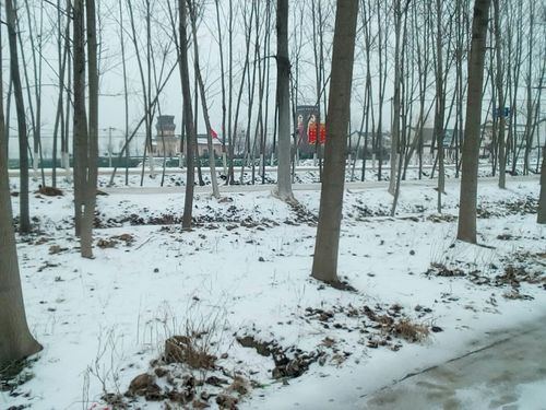 河南省宁陵县属于哪个市?睢县极端最高气温是多少-图2 河南省宁陵县属于哪个市?睢县极端最高气温是多少-图2