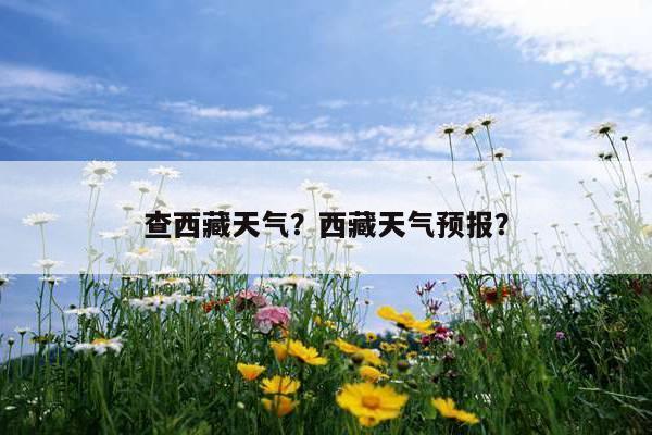 青藏高原最高气温?拉萨的最低气温到最高气温是多少-图3 青藏高原最高气温?拉萨的最低气温到最高气温是多少-图3