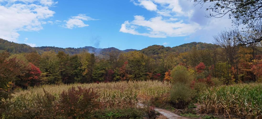 辉南四方顶子山上住宿攻略?观音洞镇有多少人-图3 辉南四方顶子山上住宿攻略?观音洞镇有多少人-图3