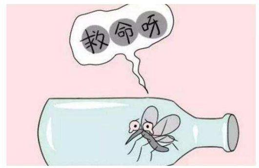 重庆11月份为何还有蚊子?重庆11月份天气大概多少度-图3 重庆11月份为何还有蚊子?重庆11月份天气大概多少度-图3