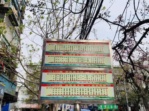 蚌埠有多少路公交线?蚌埠十二月公交车多少钱一辆-图2 蚌埠有多少路公交线?蚌埠十二月公交车多少钱一辆-图2