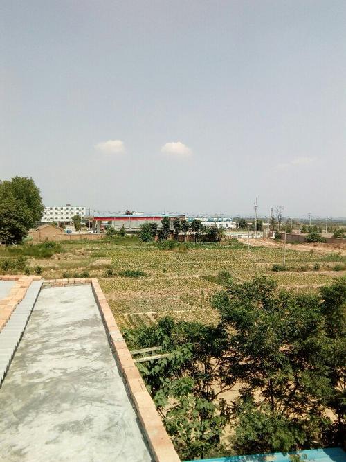 蒲城是哪个省?陕西省渭南市白水县气温多少度-图1 蒲城是哪个省?陕西省渭南市白水县气温多少度-图1