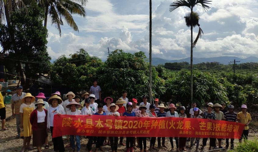 海南省陵水县的邮政编码是多少?佛罗镇的邮编是多少-图2 海南省陵水县的邮政编码是多少?佛罗镇的邮编是多少-图2