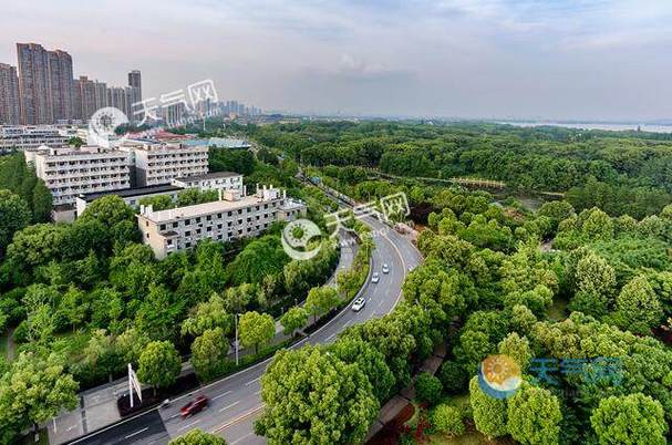 武汉一年四季气候怎么样?周六武汉北京温度多少度-图1 武汉一年四季气候怎么样?周六武汉北京温度多少度-图1
