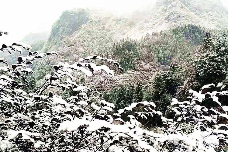 历史上八月下雪的记载?云南2017年降雪多少米-图2 历史上八月下雪的记载?云南2017年降雪多少米-图2