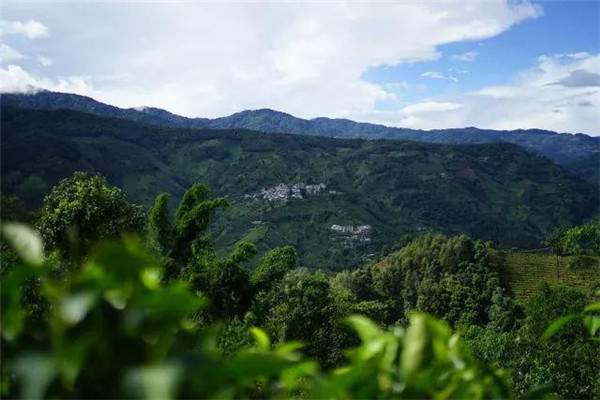 普洱夏天闷热潮湿吗?云南普洱夏天多少度-图1 普洱夏天闷热潮湿吗?云南普洱夏天多少度-图1