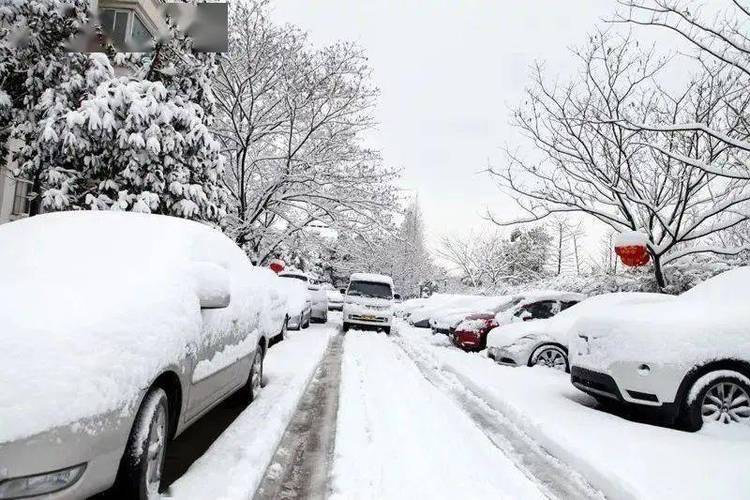 江苏有大雪暴雪吗?镇江明天气温多少度-图1 江苏有大雪暴雪吗?镇江明天气温多少度-图1