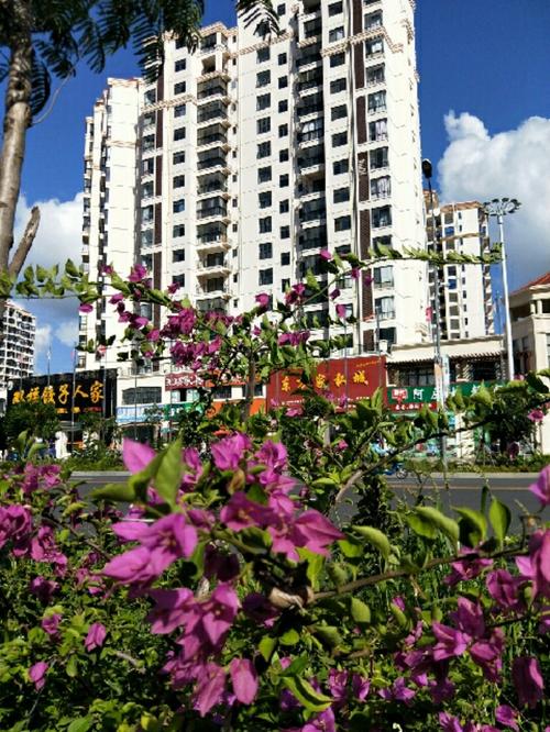 海南东方市夏天居住如何?东方市气温多少度-图2 海南东方市夏天居住如何?东方市气温多少度-图2