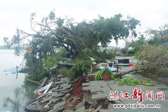 湛江暴雨原因?湛江 台风损失多少钱-图1 湛江暴雨原因?湛江 台风损失多少钱-图1