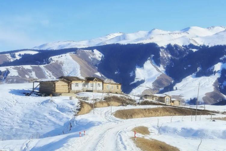 伊犁那边山上冷吗?伊宁市最冷多少度-图2 伊犁那边山上冷吗?伊宁市最冷多少度-图2