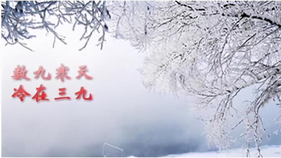 三九什么字?三九天气多少度-图2 三九什么字?三九天气多少度-图2