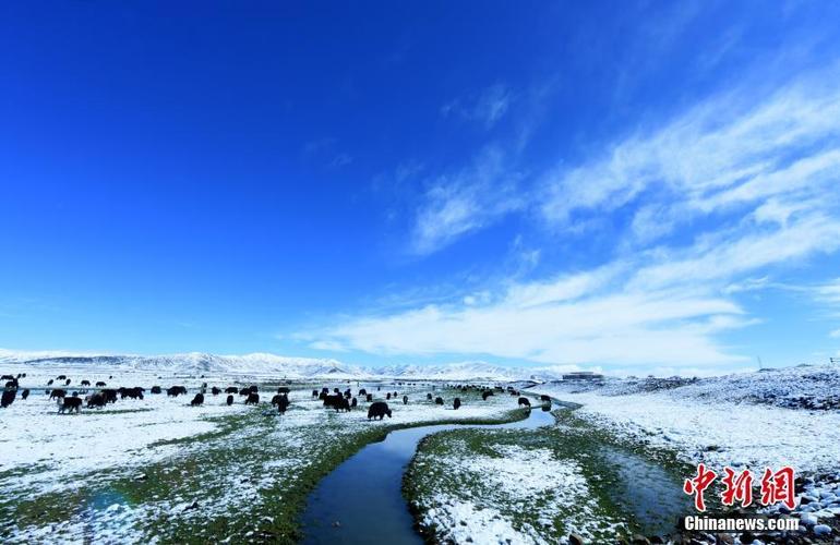 四川最冷的十个地方?红原温度多少-图3 四川最冷的十个地方?红原温度多少-图3
