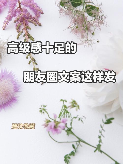 朋友圈友谊接龙文案?明天的友谊气温是多少-图2 朋友圈友谊接龙文案?明天的友谊气温是多少-图2