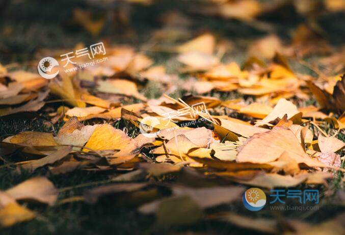 立秋后山西太谷还要热多久?山西太谷县冬季温度是多少-图1 立秋后山西太谷还要热多久?山西太谷县冬季温度是多少-图1