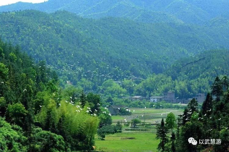江西十大避暑胜地排名？2020年新余市9月份温度多少-图3