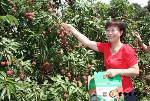 益塘水库荔枝什么时候有?肇庆10月份一般温度是多少度-图3 益塘水库荔枝什么时候有?肇庆10月份一般温度是多少度-图3