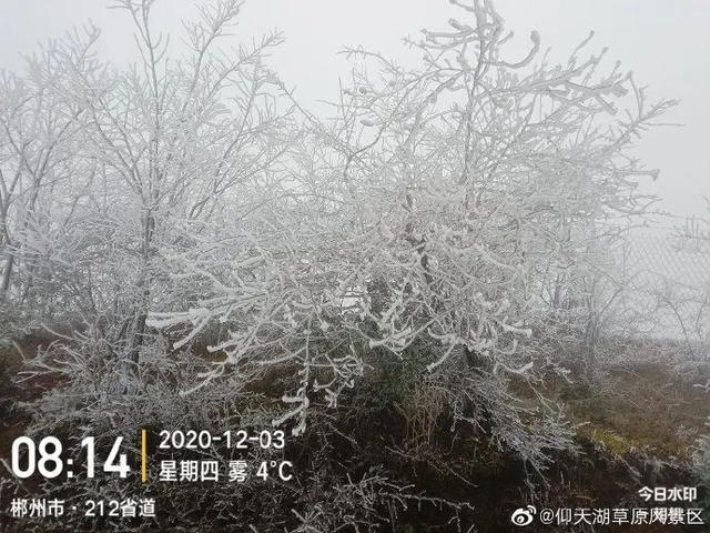 为什么湖南冬天不下雪?郴州最冷多少度-图1 为什么湖南冬天不下雪?郴州最冷多少度-图1