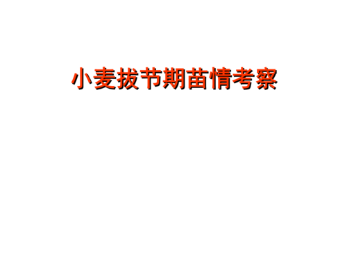 小麦拔节期是什么时间?小麦拔节期持续多少天-图3 小麦拔节期是什么时间?小麦拔节期持续多少天-图3