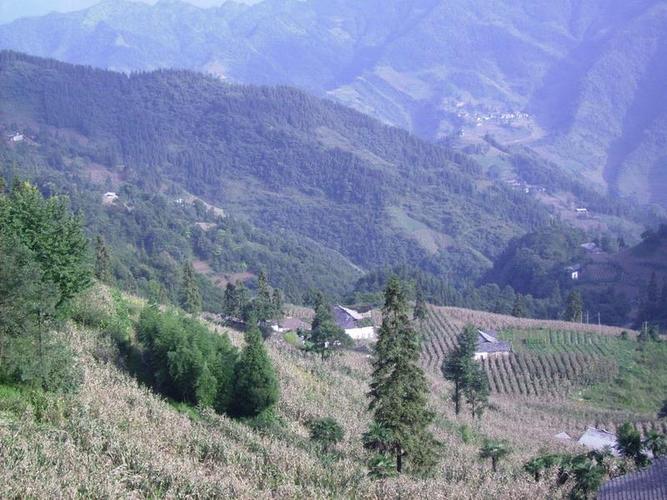 8708是哪里的区号?彝良到树林多少公里-图2 8708是哪里的区号?彝良到树林多少公里-图2