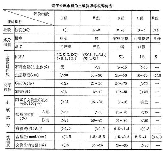 土壤相对湿度计算公式?土壤湿度多少合适-图2 土壤相对湿度计算公式?土壤湿度多少合适-图2