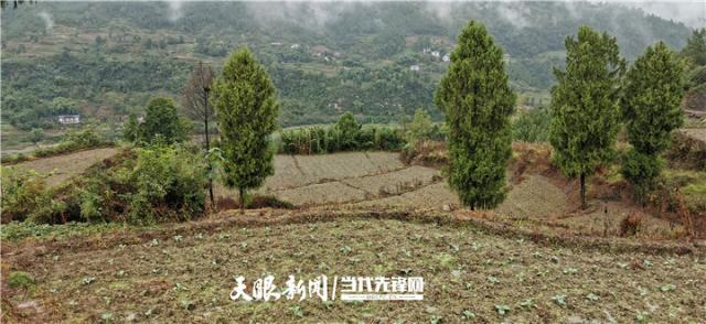 请问贵州省遵义市道真县棕坪乡冉村湾组海拔有多高呢？道真到棕坪多少钱-图1