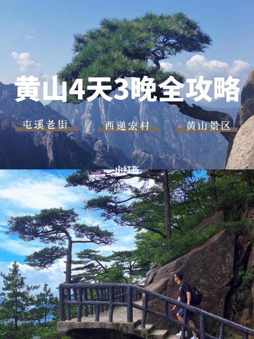 黄山风景区白天温度?黄山温度多少时间表-图3 黄山风景区白天温度?黄山温度多少时间表-图3