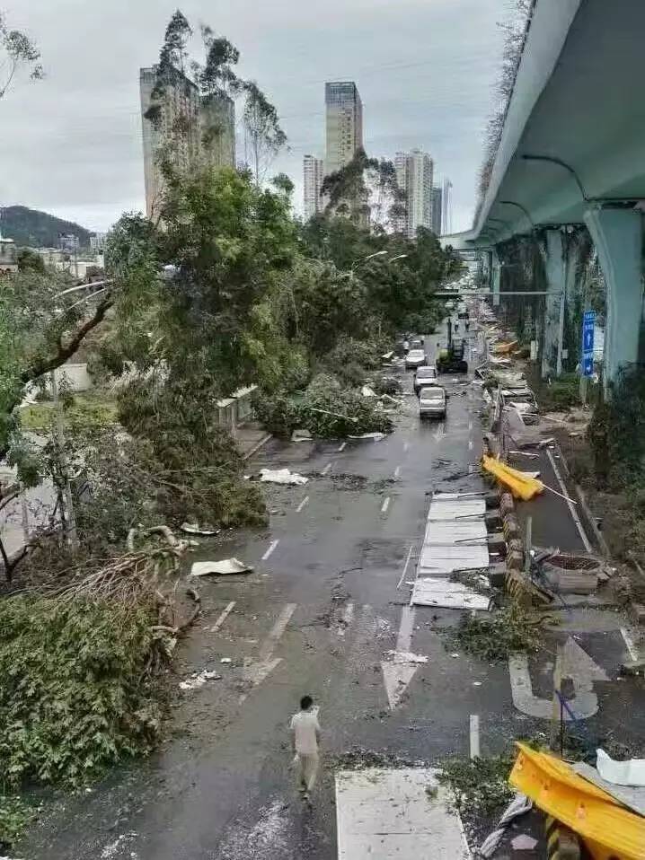 莫兰蒂风速多少?厦门台风莫兰蒂多少级-图1 莫兰蒂风速多少?厦门台风莫兰蒂多少级-图1