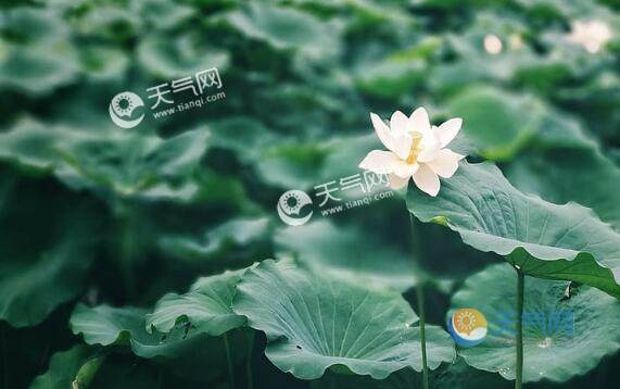 立夏暖和吗?立夏天气会多少度-图1 立夏暖和吗?立夏天气会多少度-图1