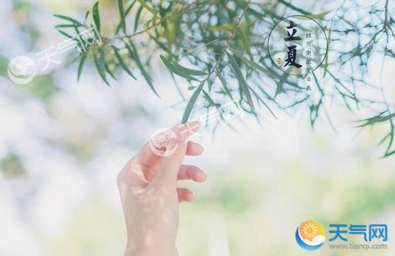 立夏暖和吗?立夏天气会多少度-图3 立夏暖和吗?立夏天气会多少度-图3