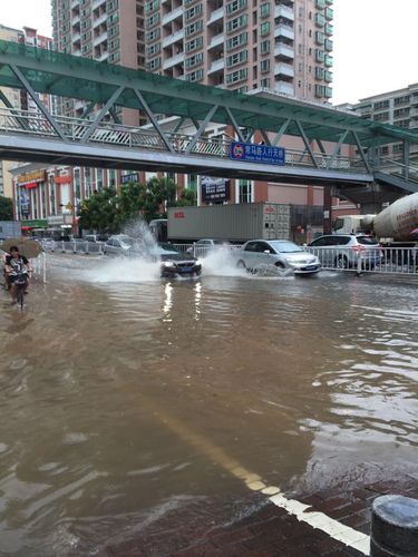 为什么东莞一直在下雨?东莞每年有多少雨天-图3 为什么东莞一直在下雨?东莞每年有多少雨天-图3