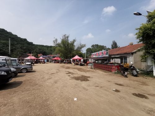 超级驾驶哪条路线好玩?西丰到象牙山多少公里-图1 超级驾驶哪条路线好玩?西丰到象牙山多少公里-图1