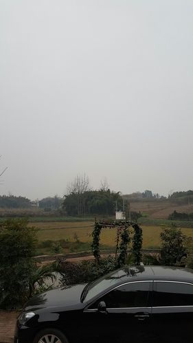 四川省仁寿县有多少个乡?仁寿慈航有多少个小学-图3 四川省仁寿县有多少个乡?仁寿慈航有多少个小学-图3