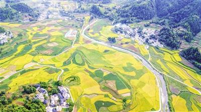 达州黄都有什么发展?务川黄都镇有多少人口-图1 达州黄都有什么发展?务川黄都镇有多少人口-图1