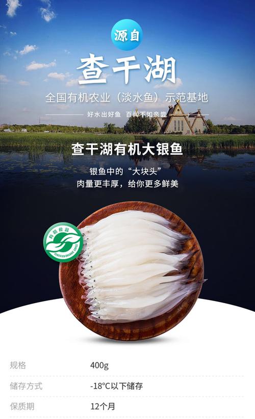 东北什么地方产银鱼?查干湖有多少个渔场-图2 东北什么地方产银鱼?查干湖有多少个渔场-图2